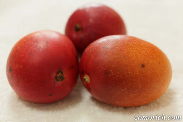 マンゴー好きが教える国産マンゴーの食べ方・むき方（写真付き）
